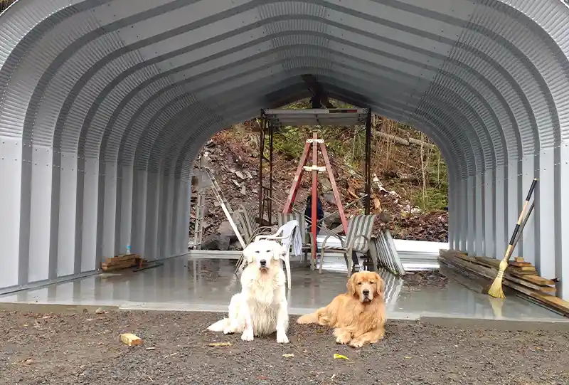 3 Reasons Why Prefabricated Steel Buildings Make Great Dog Kennels